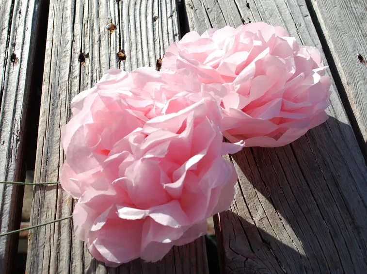Dalia di carta crespa