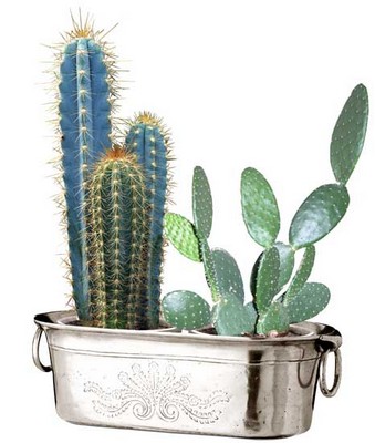 pots and planters
