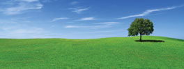 Life in Green
