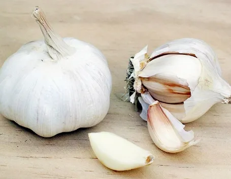 foto aglio