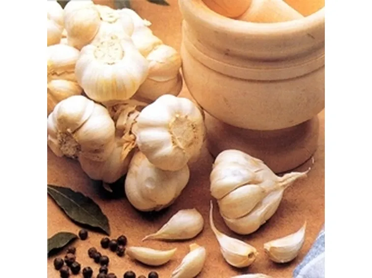 aglio 2