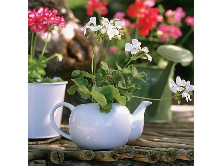 Fai da te per il giardino