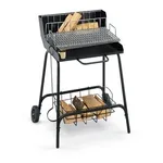 barbecue a legna