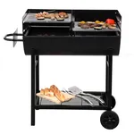 Barbecue a carbonella