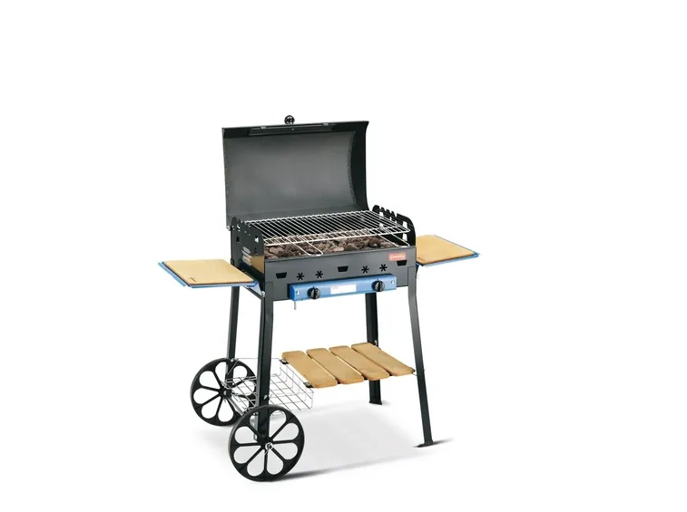 Barbecue a gas con pietra lavica