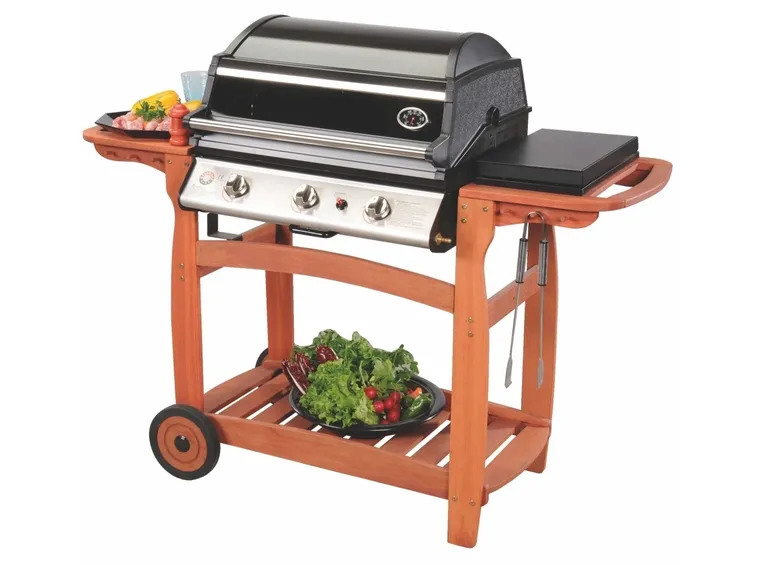 Barbecue pietra lavica della Ferrabboli