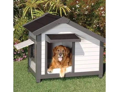 casetta per cane