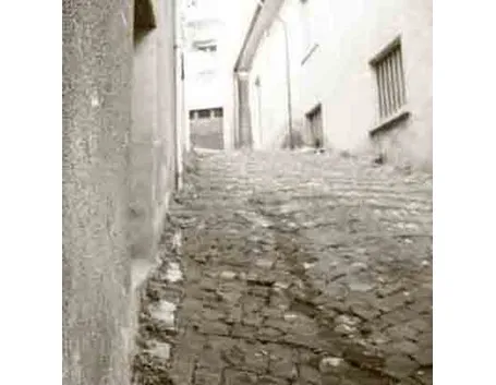 un due tre stella