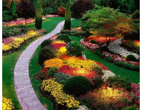 Il giardino fiorito