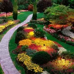 Il giardino fiorito