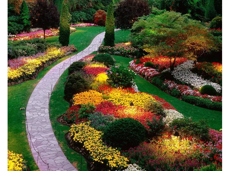 Il giardino fiorito