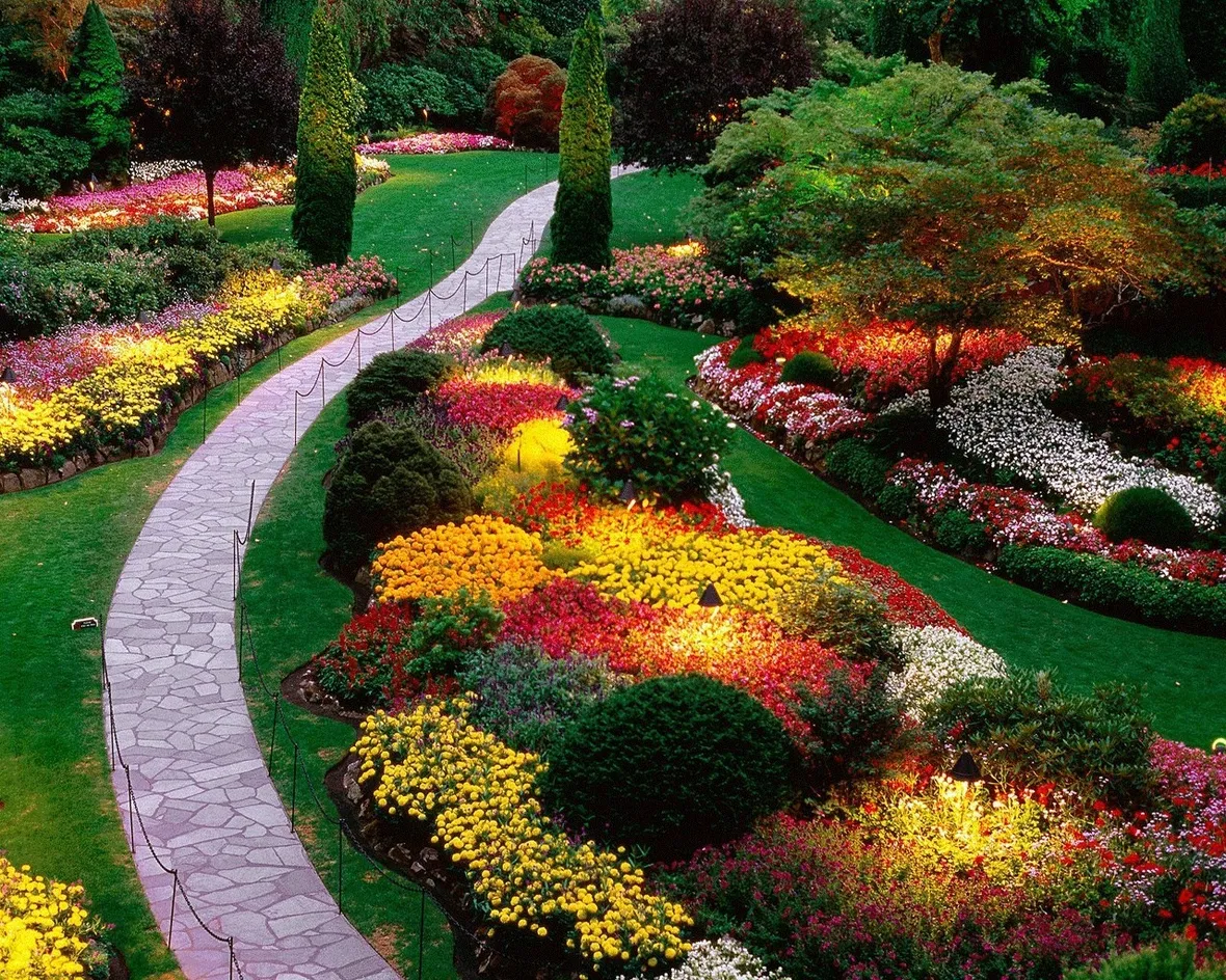 Il giardino fiorito