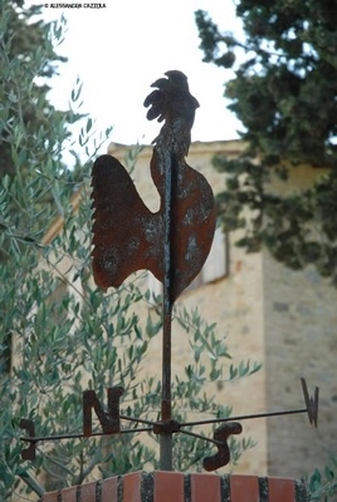 galletto segnavento