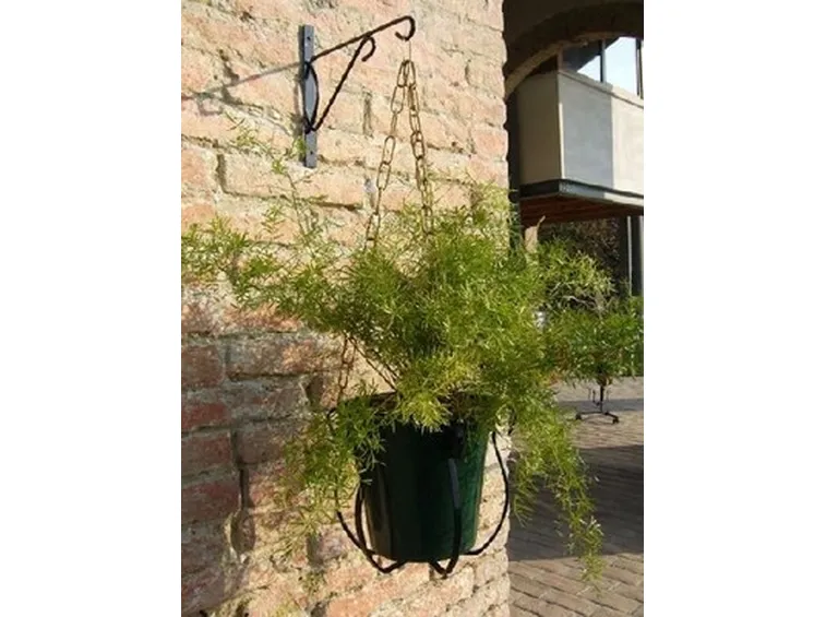 porta vaso
