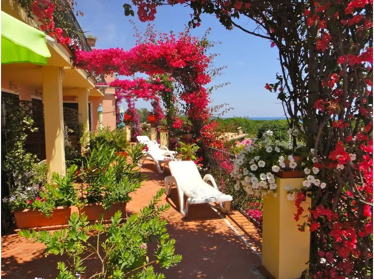 Terrazza fiorita
