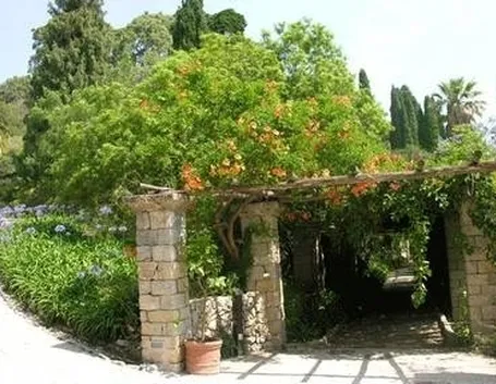 pergolato in legno