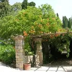 pergolato in legno