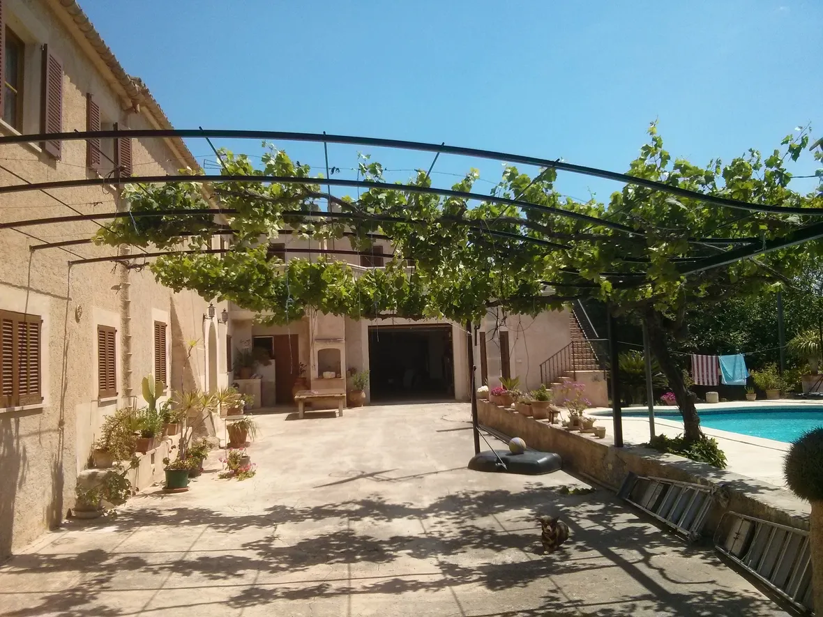 pergole in ferro