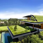 Tetto verde