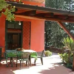 tettoia da giardino
