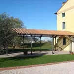 vendita tettoie