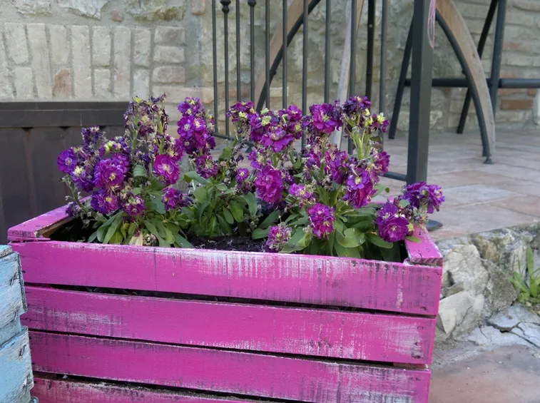 Colorata fioriera in legno