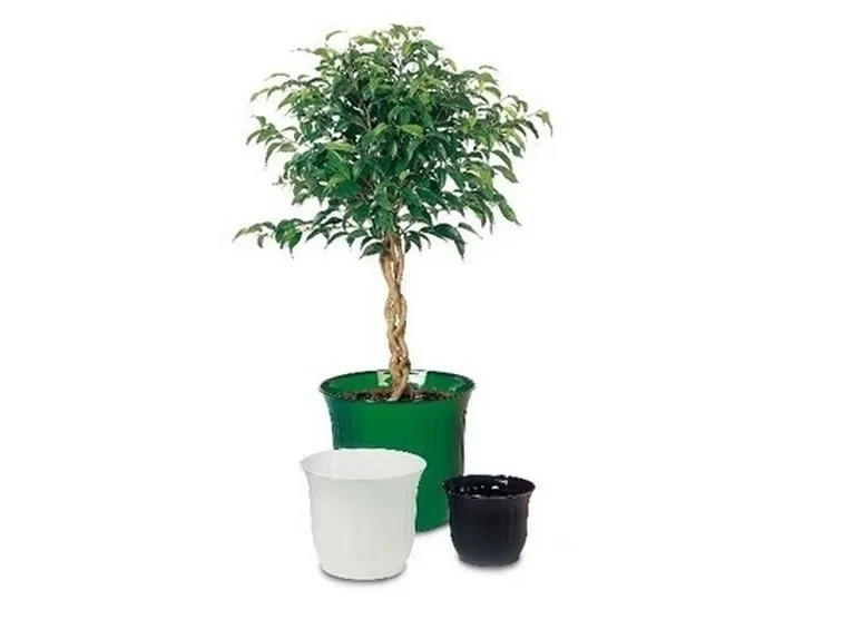 fioriera in plastica rotazionale