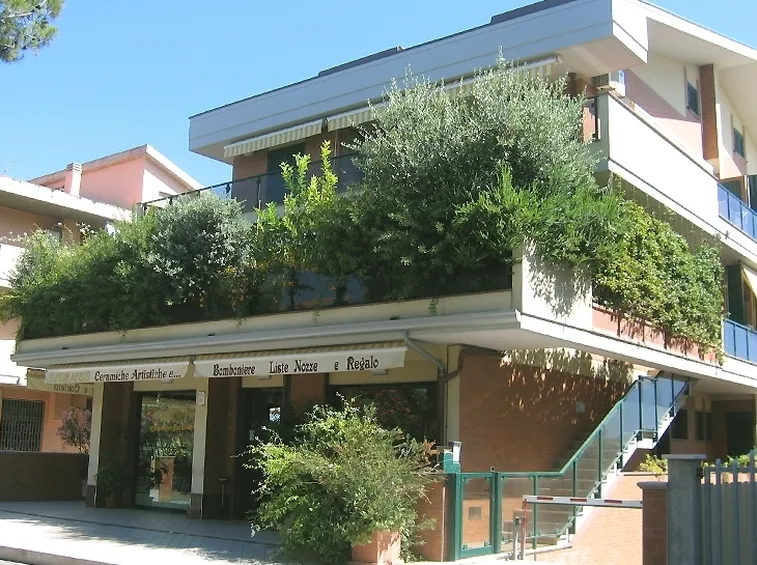 Piante sul terrazzo