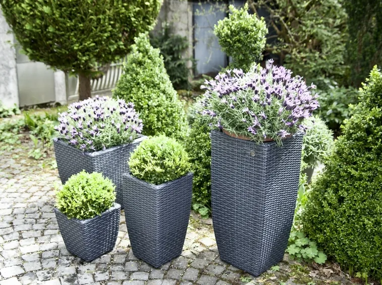 Fioriere decorative in cemento