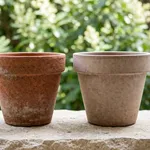 La differenza tra terracotta ingeliva e geliva