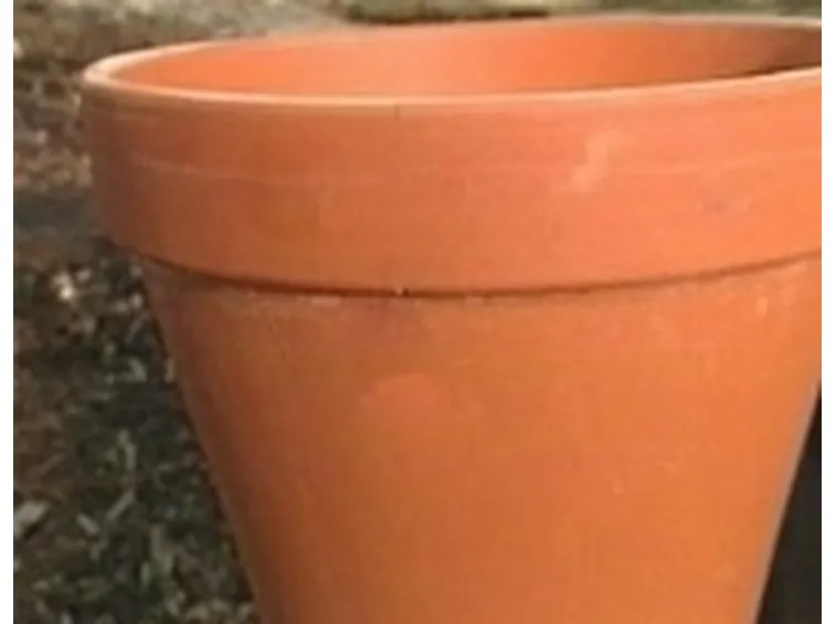 vasi terracotta