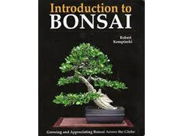 libri sui bonsai