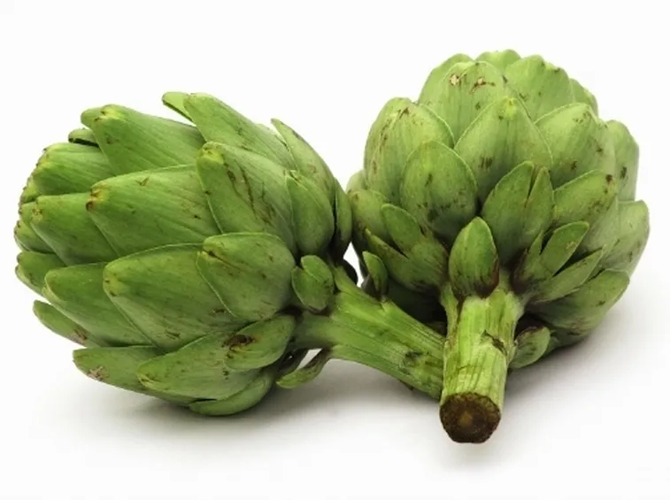 carciofo