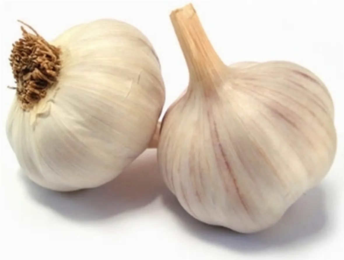 coltivare aglio