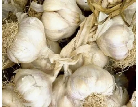 ipertensione aglio
