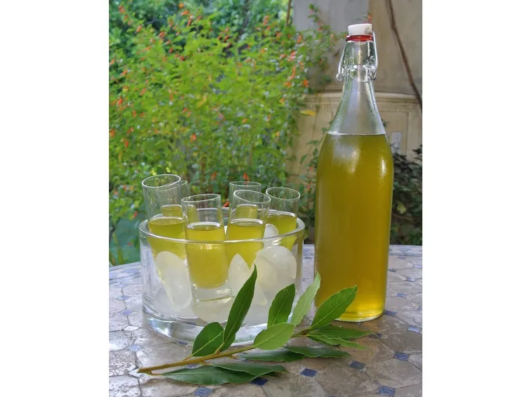 liquore all'alloro