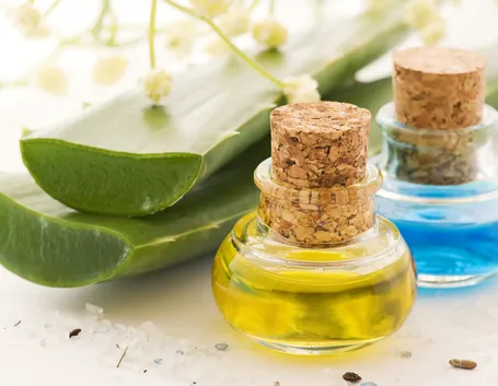 aloe per i capelli