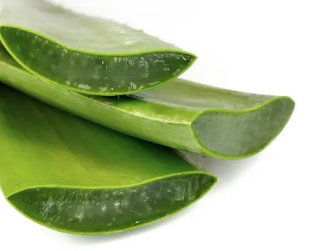 aloe psoriasi
