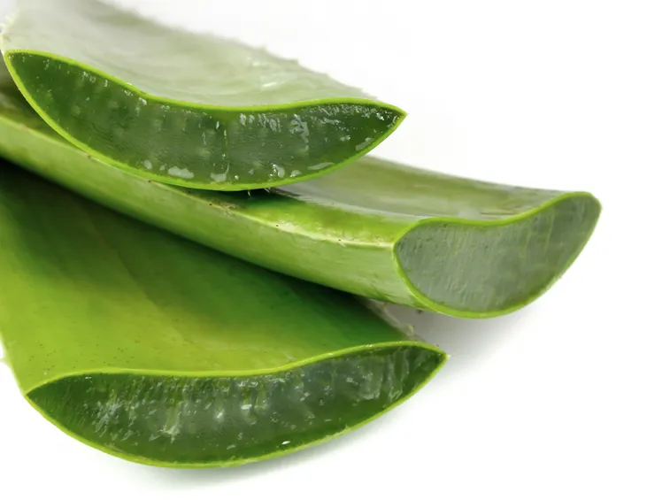 aloe psoriasi