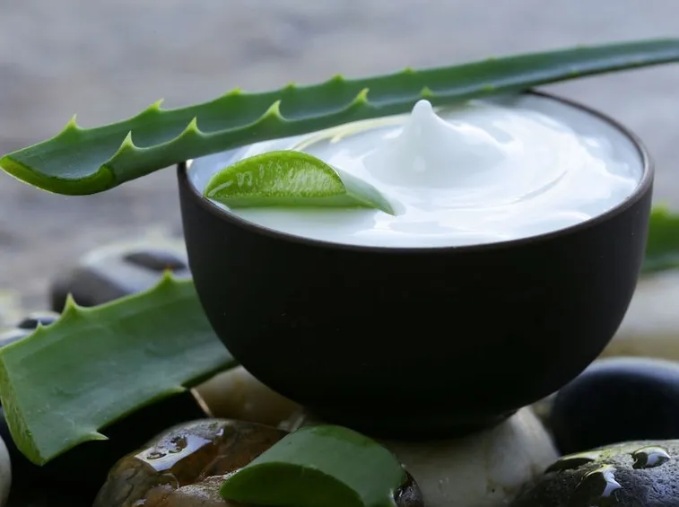 aloe crema