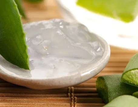 controindicazioni aloe