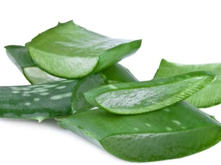 controindicazioni aloe 3