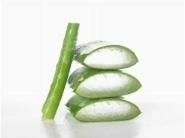 vendita aloe