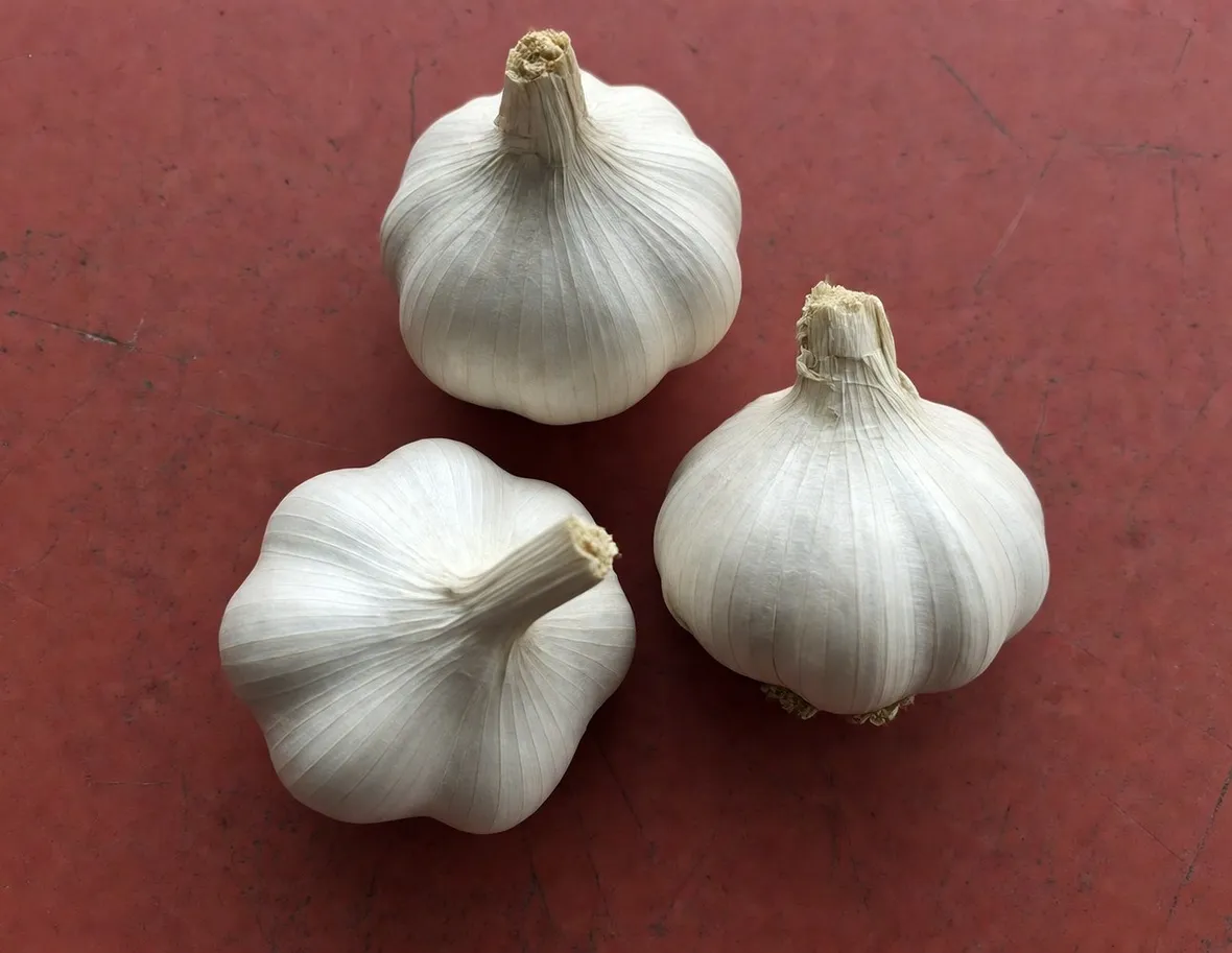 aglio proprietà 