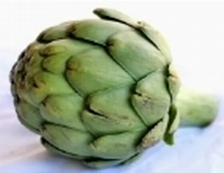 foglie carciofo