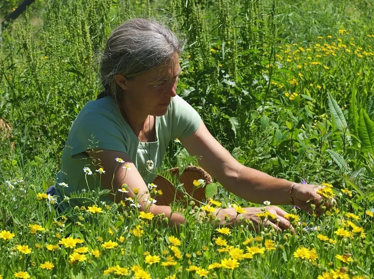 comprare arnica