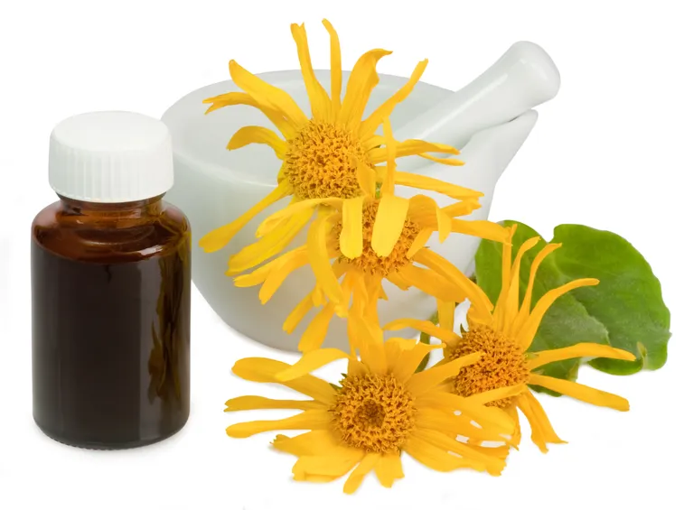 arnica olio 