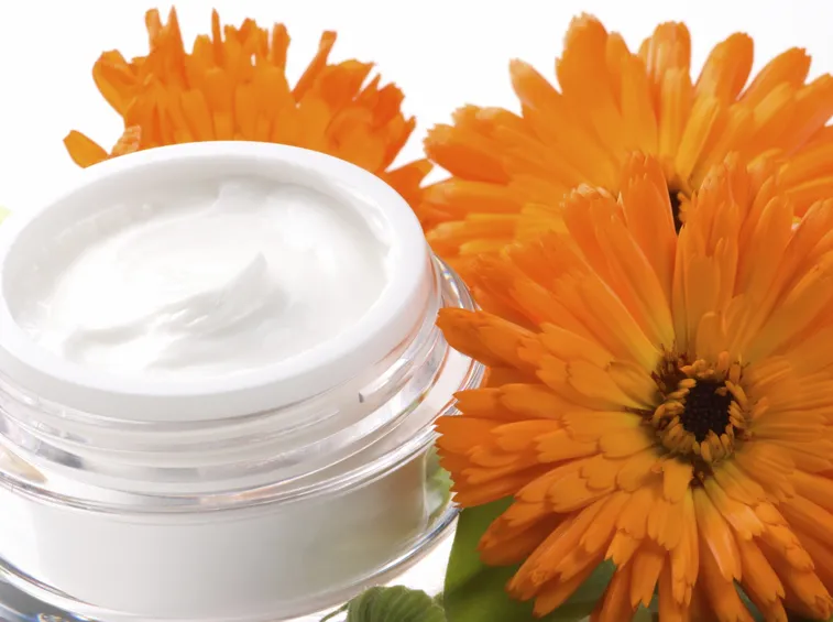 crema alla calendula