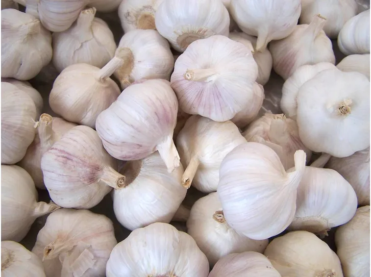 aglio