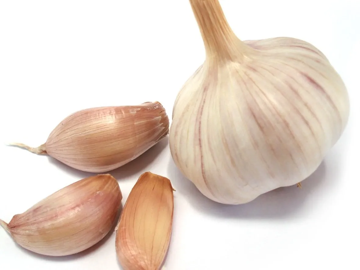 spicchi d'aglio